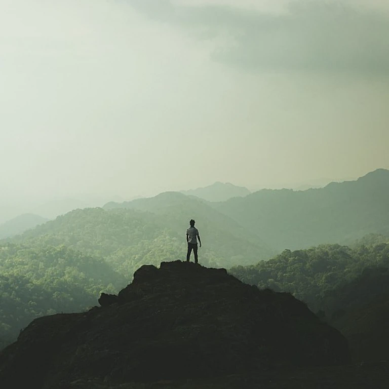 Mastering Workforce Diversity: Essential Skills for Chief Human Resources Officers