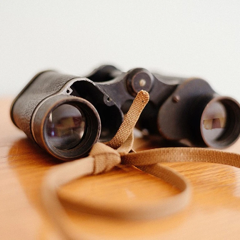 Unlocking the Potential of CRTO Certification for HR Leaders