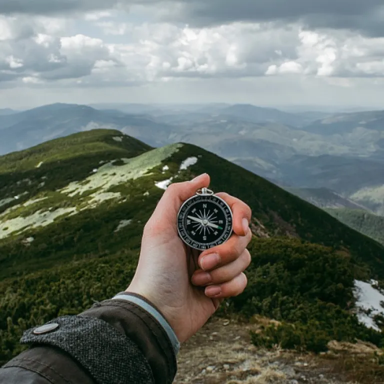 Understanding the Roles: Human Resources vs. Talent Advisor
