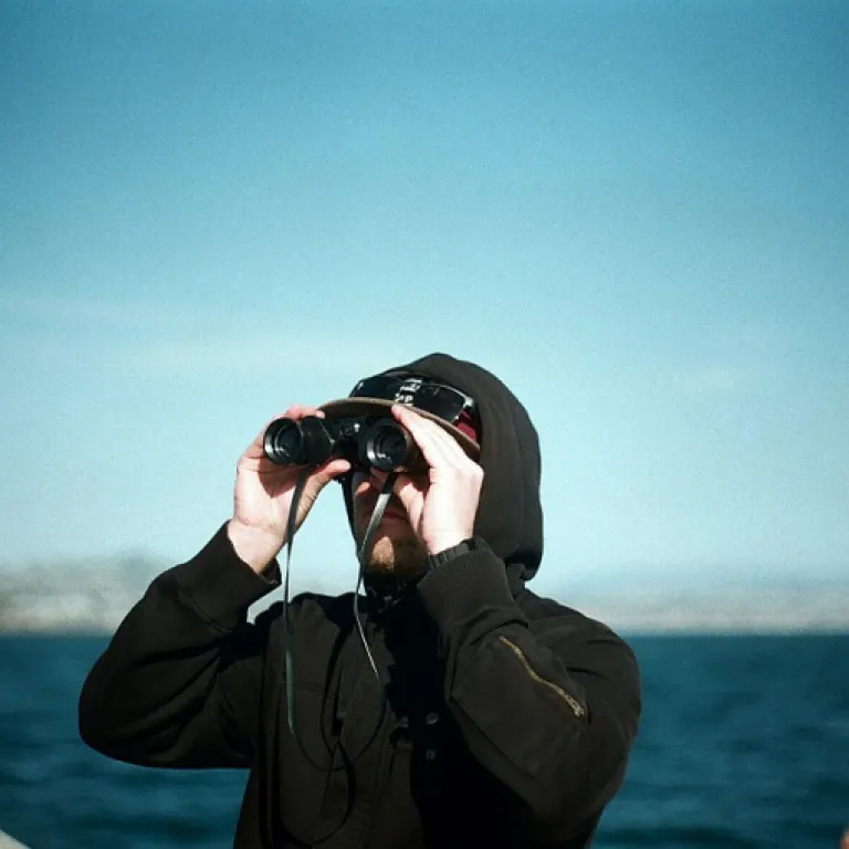 How to build an effective executive search strategy for chief human resources officer roles