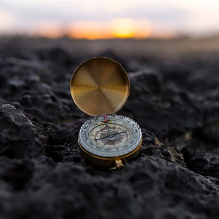 How discipline alignment shapes effective chief human resources officer skills